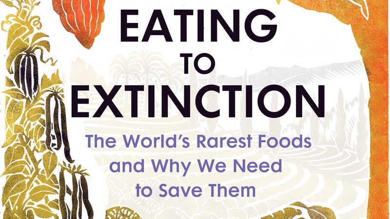 Dan Book Jacket copy