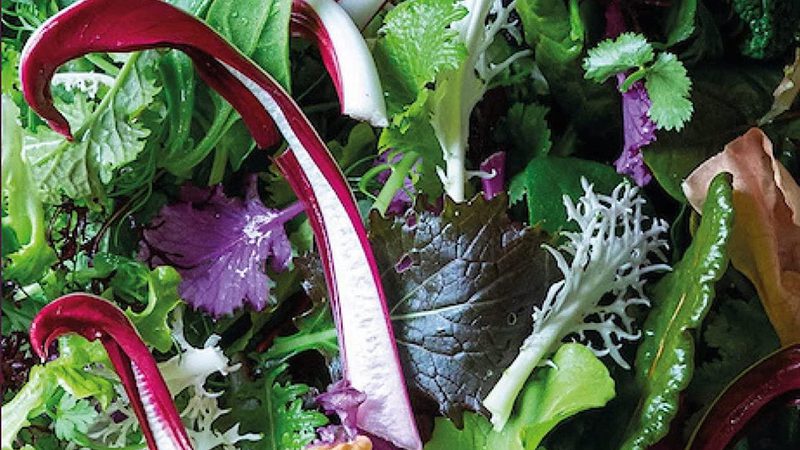 Raven Veg