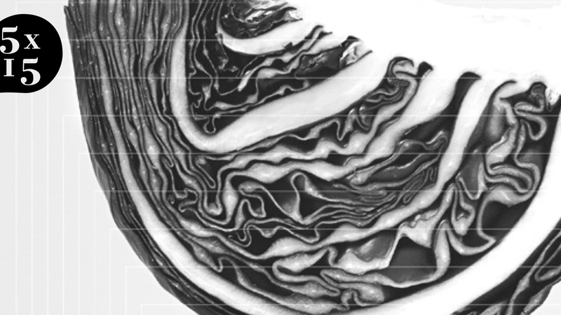 Sept 2 5x15 food newsletter 3