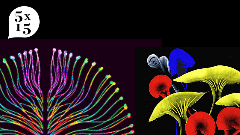 Untitled design 3