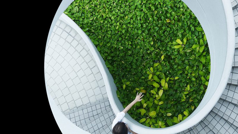 Sustainable cities